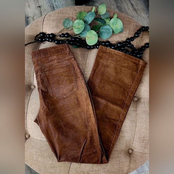 ANTONIO MELANI Pants - ANTONIO MELANI Rich Brown Corduroy Pants